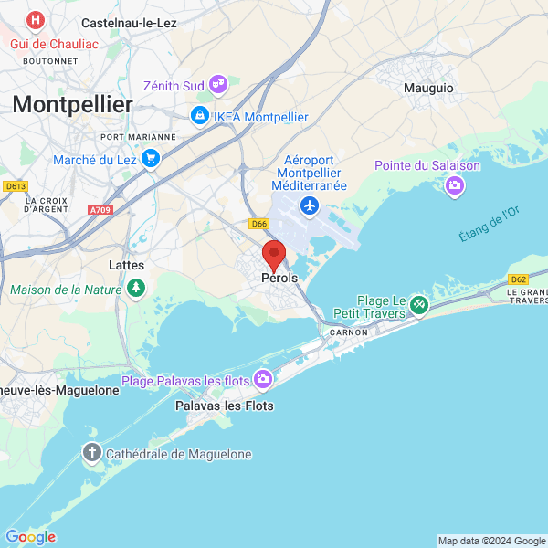 google map