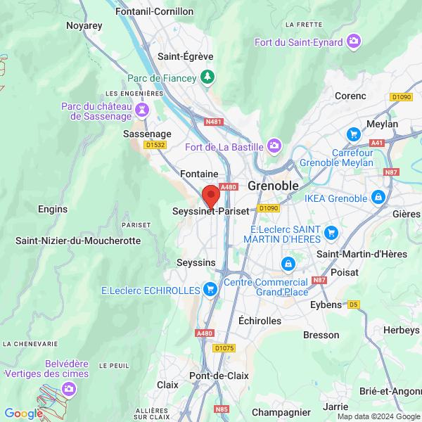 google map