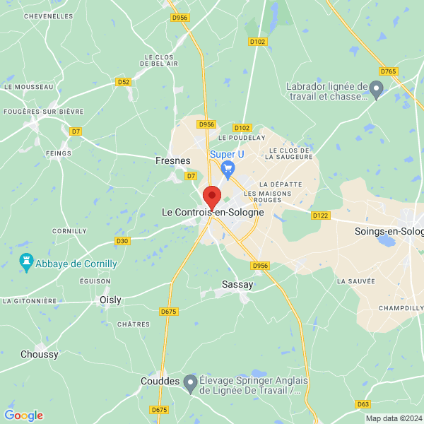 google map