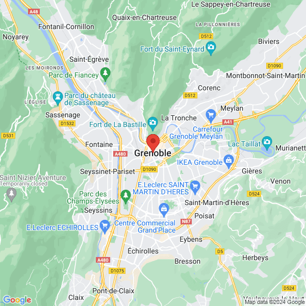 google map