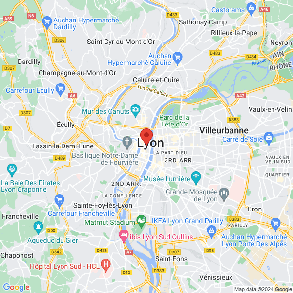 google map