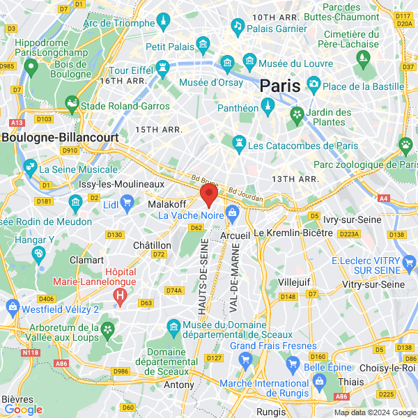 google map