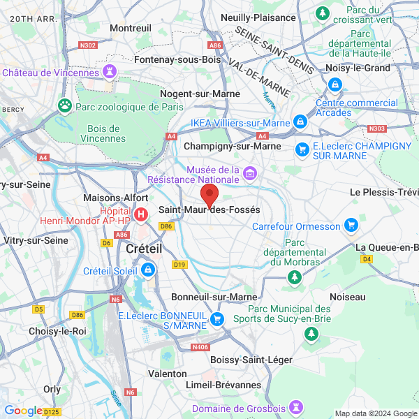 google map