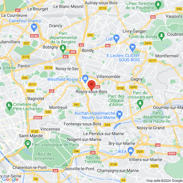 google map