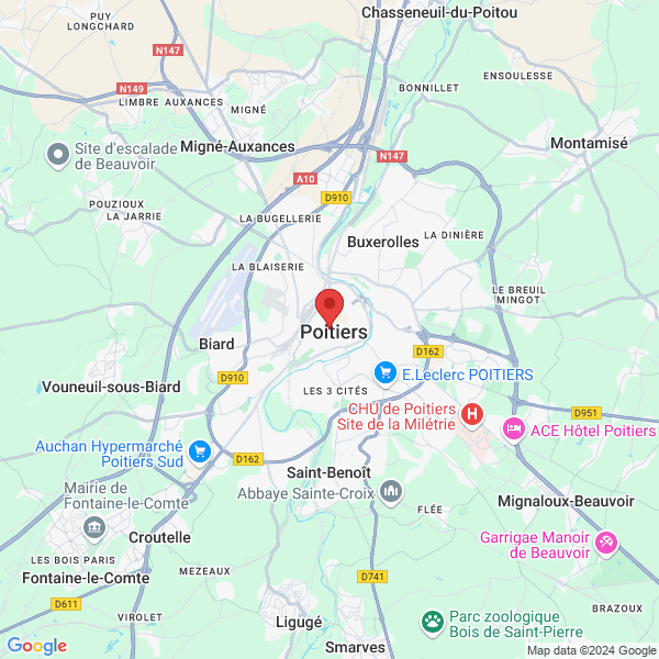 google map