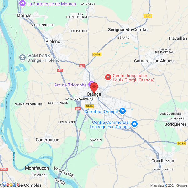 google map