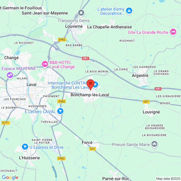google map