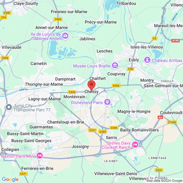 google map