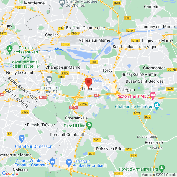 google map