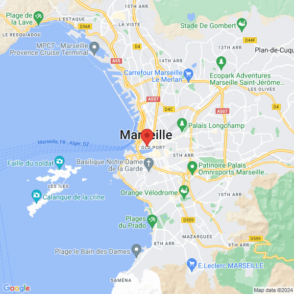 google map