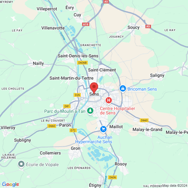 google map
