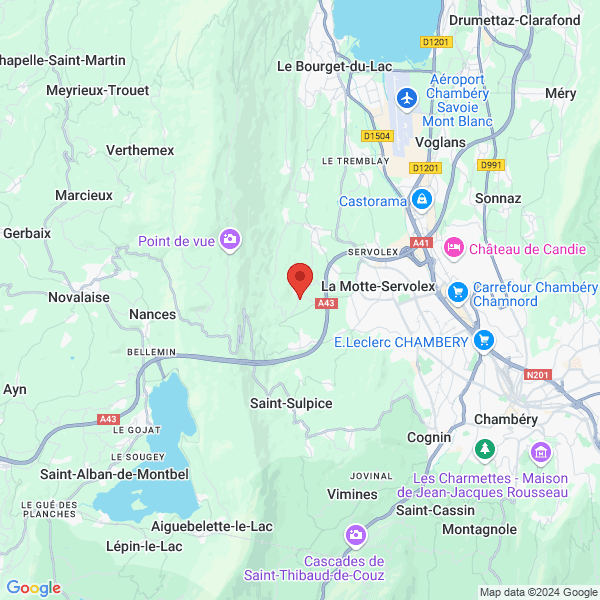 google map