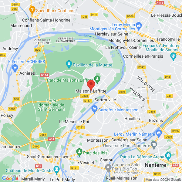 google map