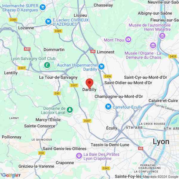 google map