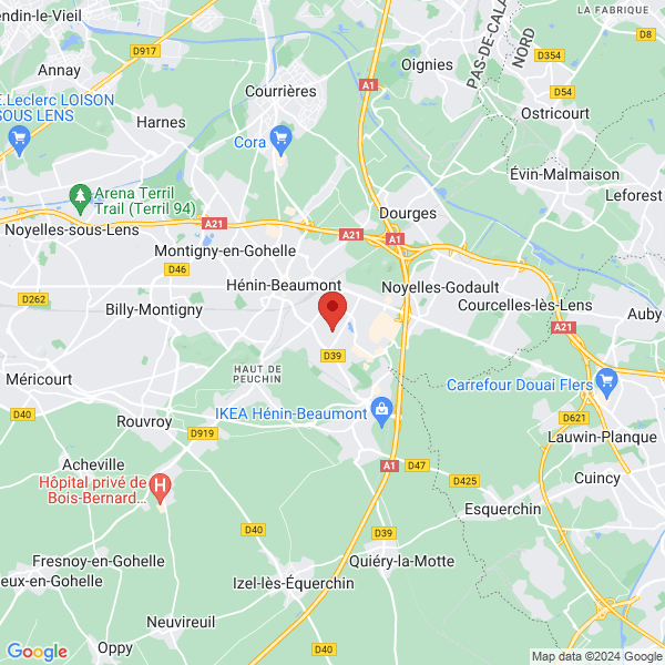 google map