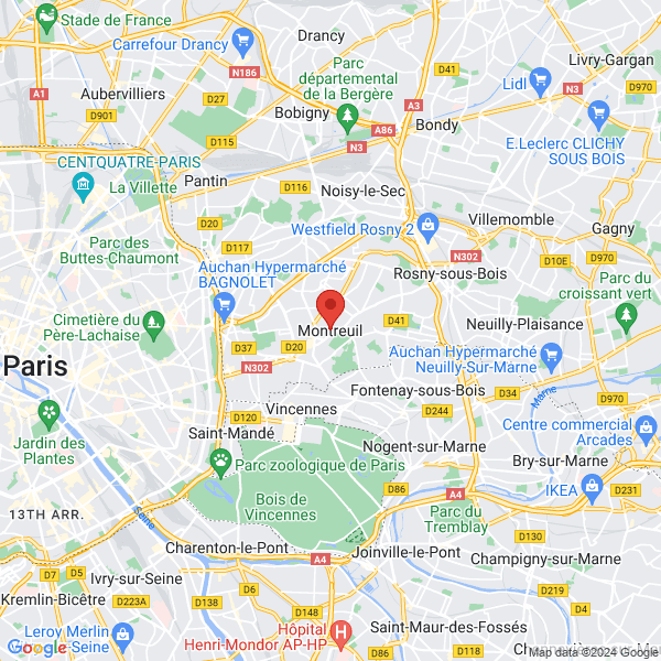 google map