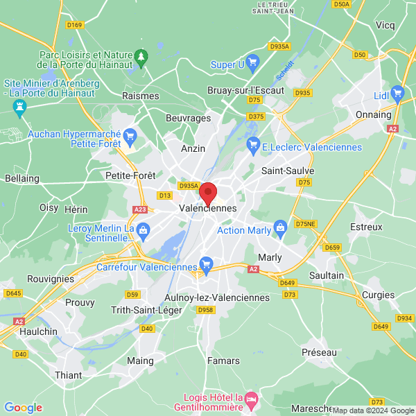 google map