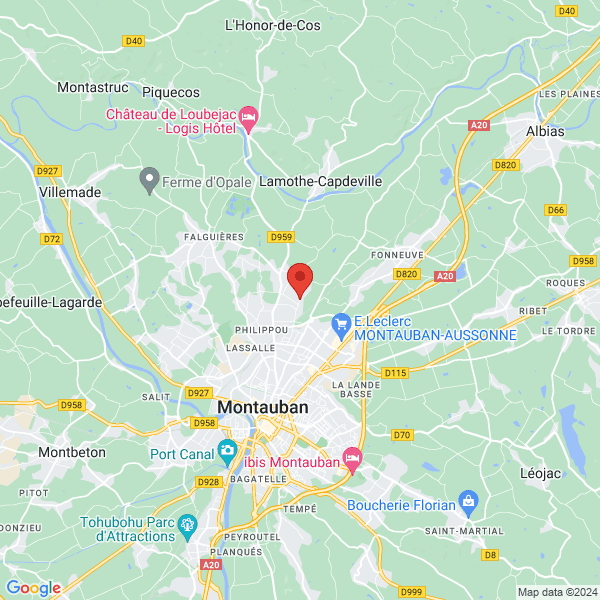 google map
