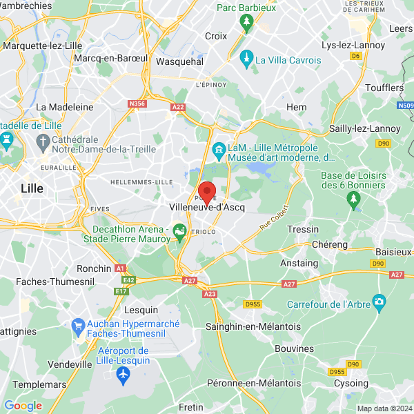 google map