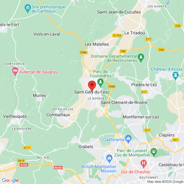 google map