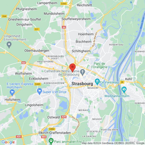 google map