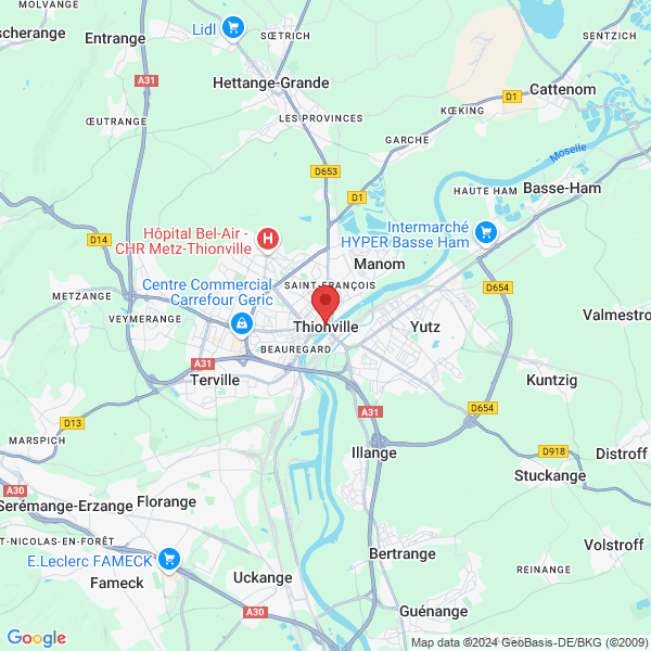 google map