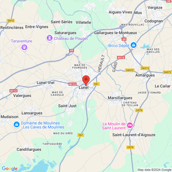 google map