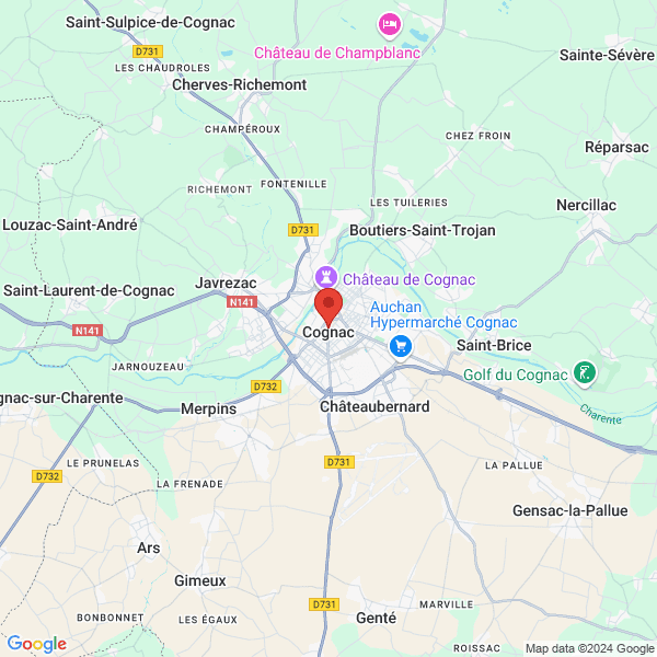 google map