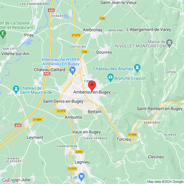 google map