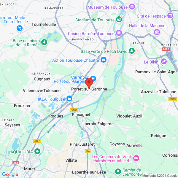 google map
