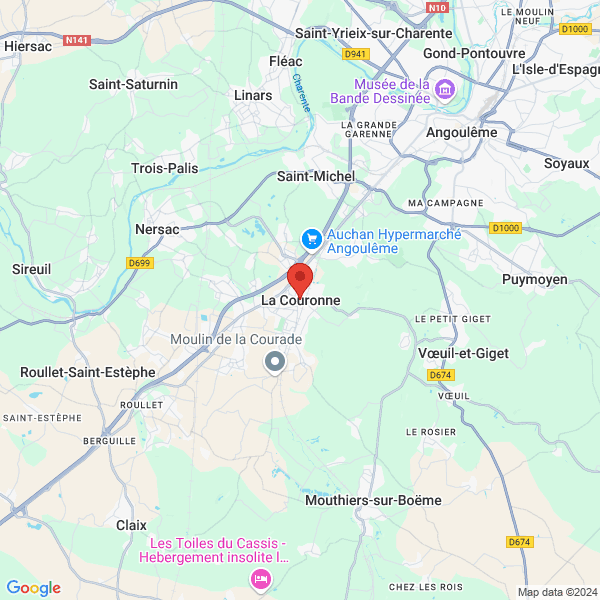 google map