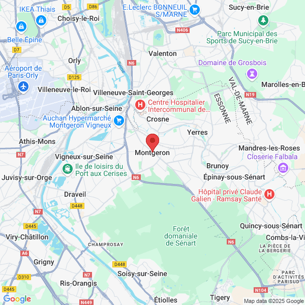 google map