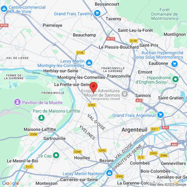 google map