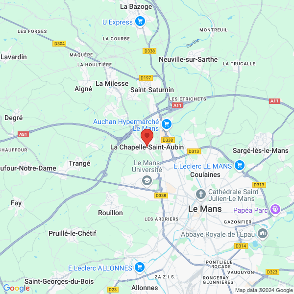 google map