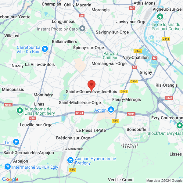 google map