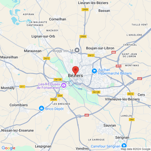 google map