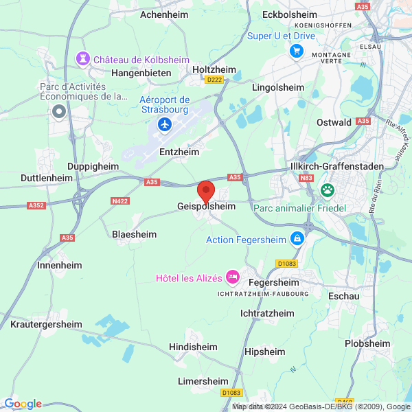google map