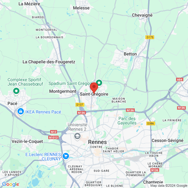 google map