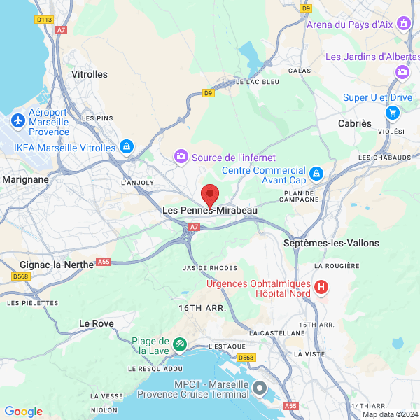 google map