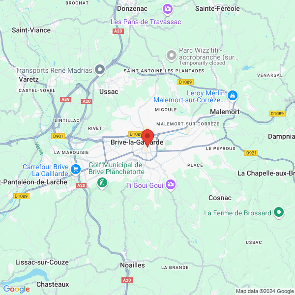 google map