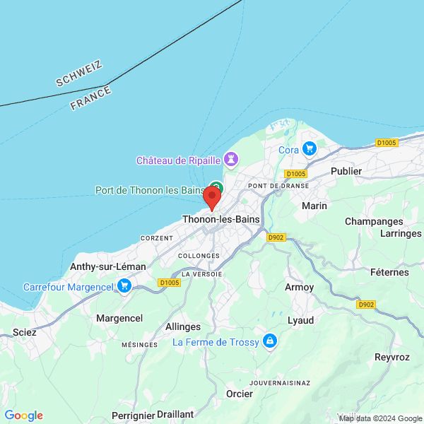 google map