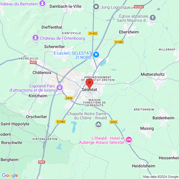 google map