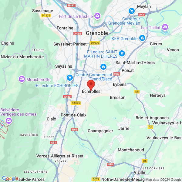 google map