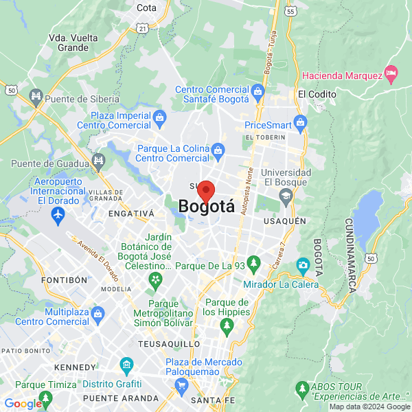 google map