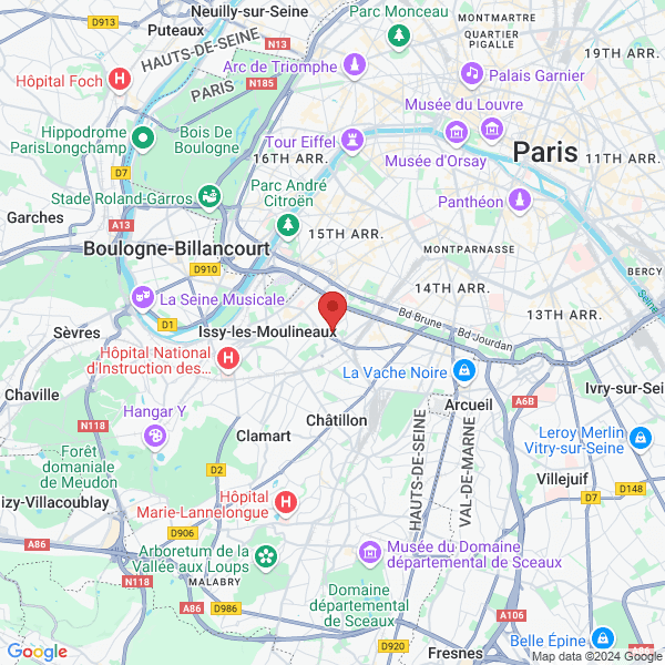 google map