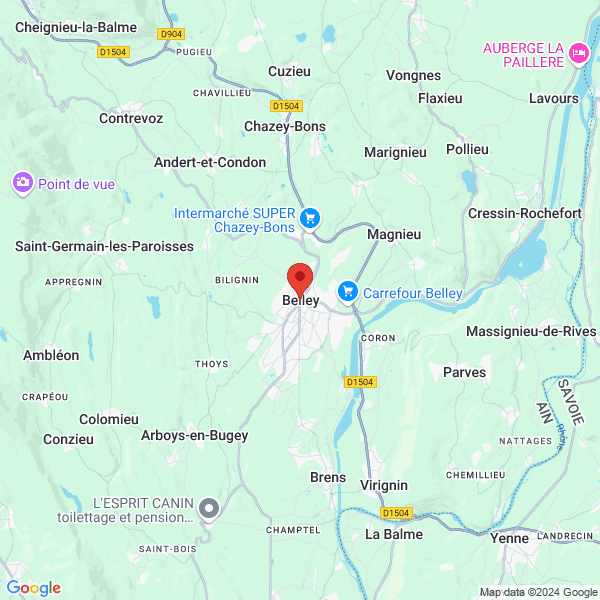 google map