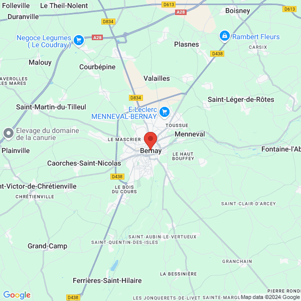 google map