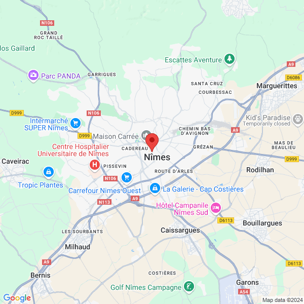 google map