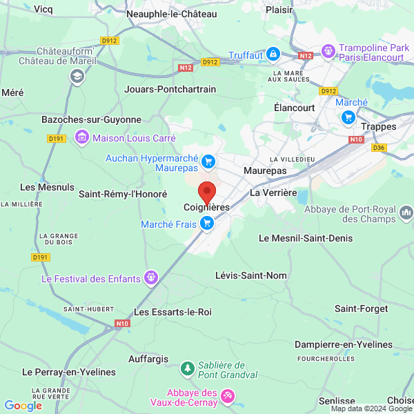 google map