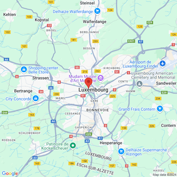 google map